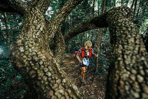 BIB: 
                            <button type="button" onclick="openModal(25392633)" class="btn btn-primary btn-sm float-right btn-popup" data-toggle="modal" data-target=".modal-high-quality">
                        <i class="fas fa-shopping-cart"></i> Add to Cart
                    </button>
                                            <button type="button" onclick="isThisMe(25392633, true)" class="btn btn-success btn-sm float-right btn-popup btn-isme hidden" data-toggle="tooltip" data-placement="bottom" title="นี่คือรูปของคุณใช่ไหม คลิกที่นี่เพื่อเอาเข้าอัลบั้ม">
                        <i class="fas fa-plus"></i> Add to album
                    </button>
                    <button type="button" onclick="isThisMe(25392633, false)" class="btn btn-warning btn-sm float-right btn-popup btn-isnotme hidden">
                        <i class="fas fa-ban"></i> Remove from album
                    </button>